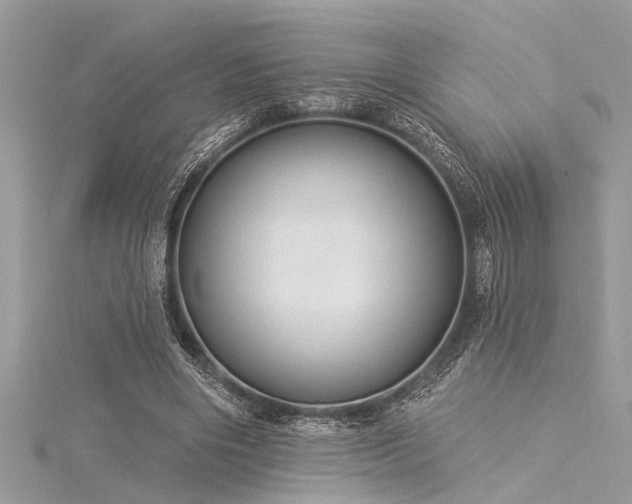 X0000116040490200911201348