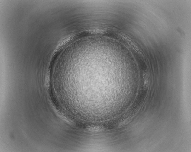X0000116040494200911201348