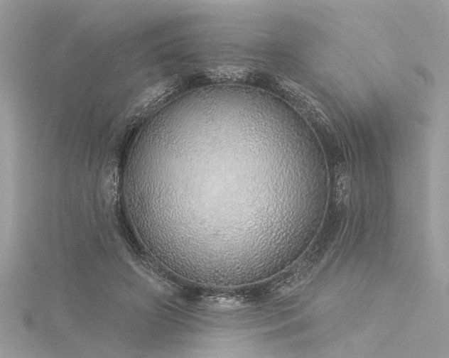 X0000116040498200911201348