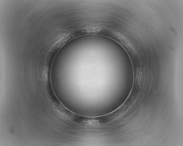 X0000116040501200911201348
