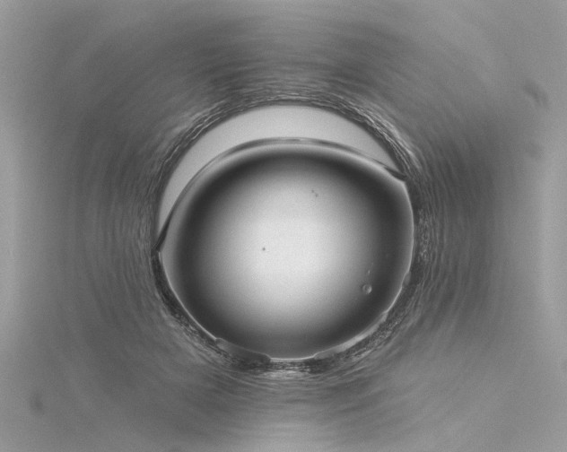 X0000116040505200911201348