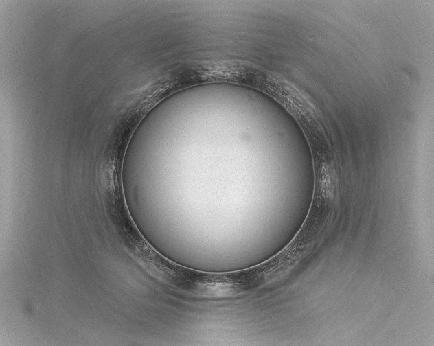 X0000116040514200911201347