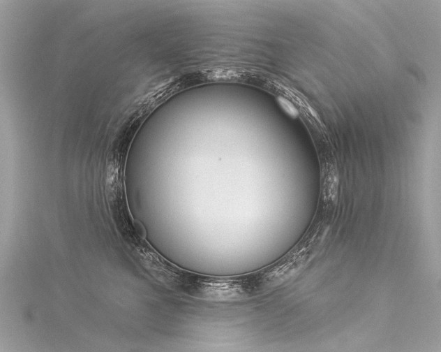 X0000116040521200911201347