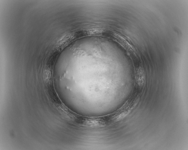 X0000116040523200911201347