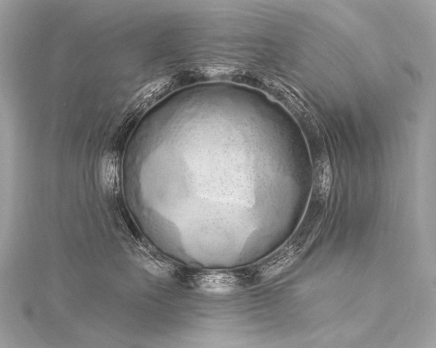 X0000116040527200911201347