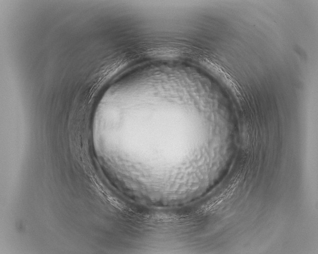 X0000116040529200911201347