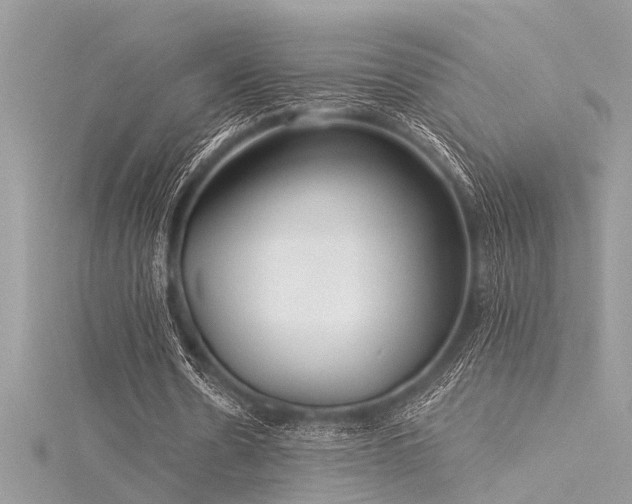 X0000116040530200911201347