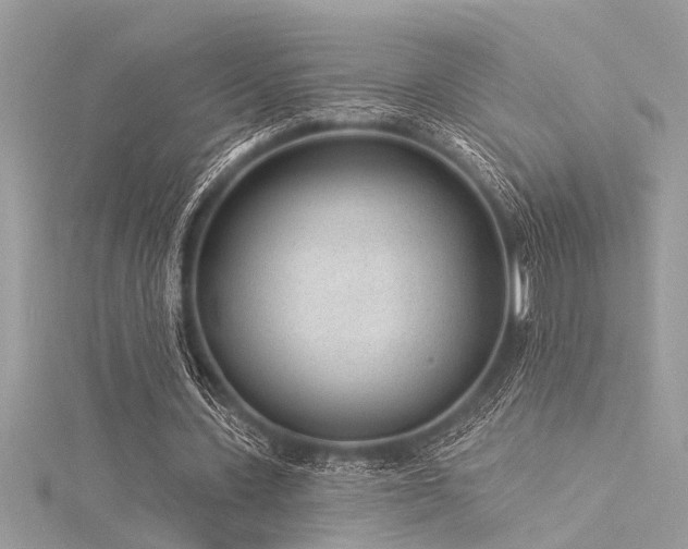 X0000116040531200911201347