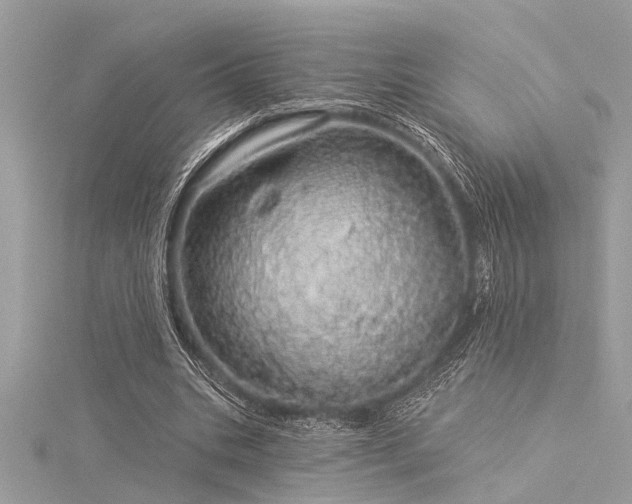 X0000116040535200911201347