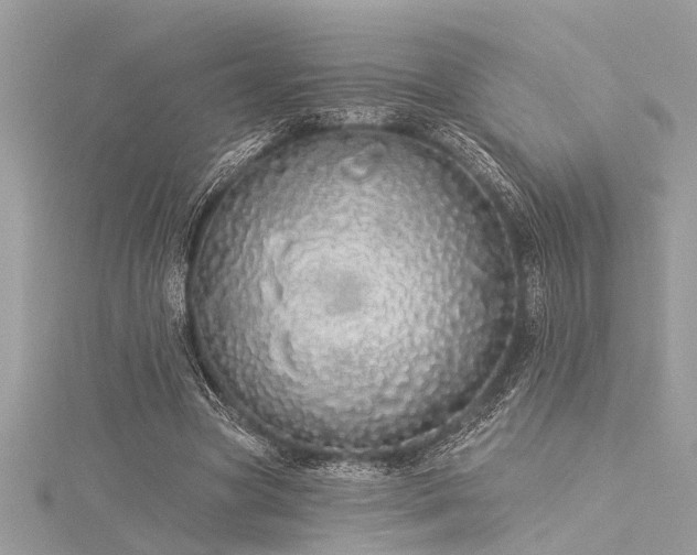 X0000116040537200911201347