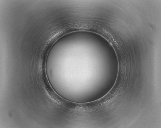 X0000116040538200911201347