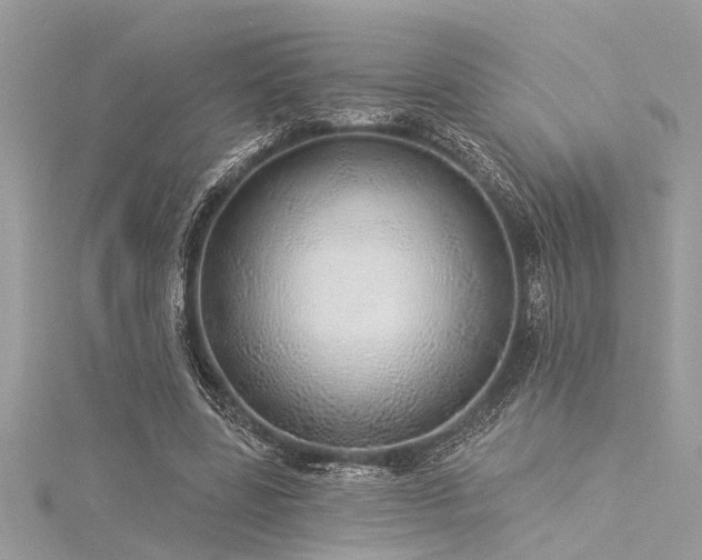 X0000116040539200911201347