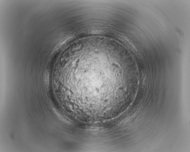 X0000116040542200911201347