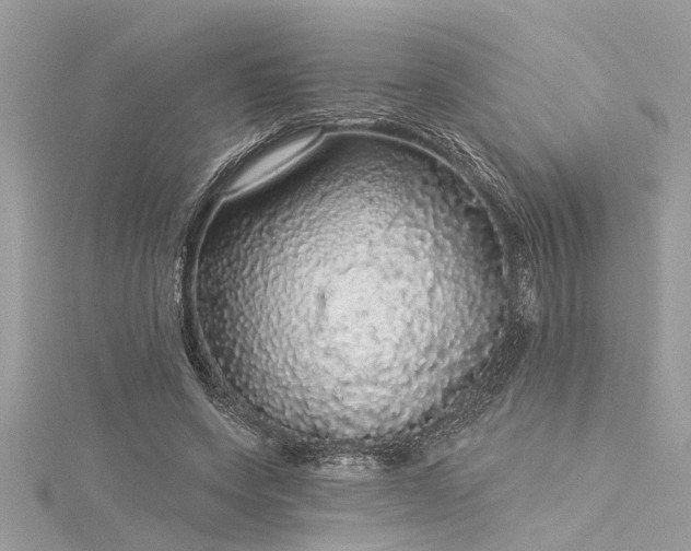 X0000116040543200911201347