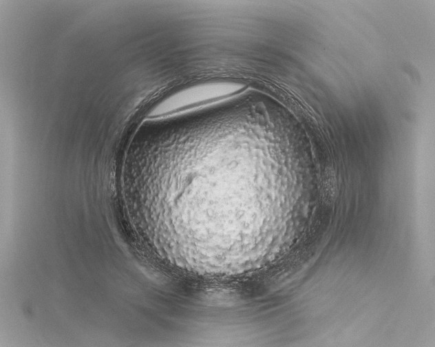X0000116040547200911201347