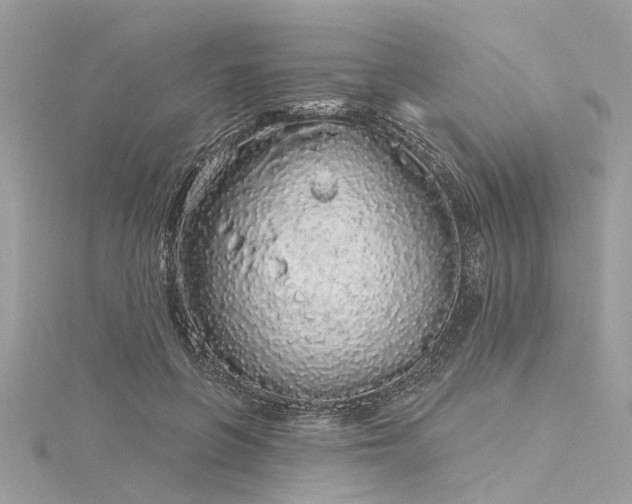 X0000116040551200911201347