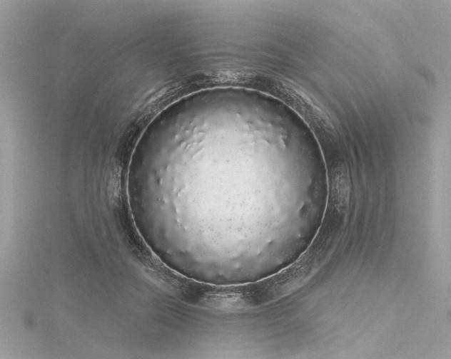 X0000116040554200911201347