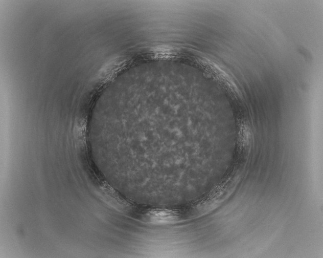 X0000116040557200911201347