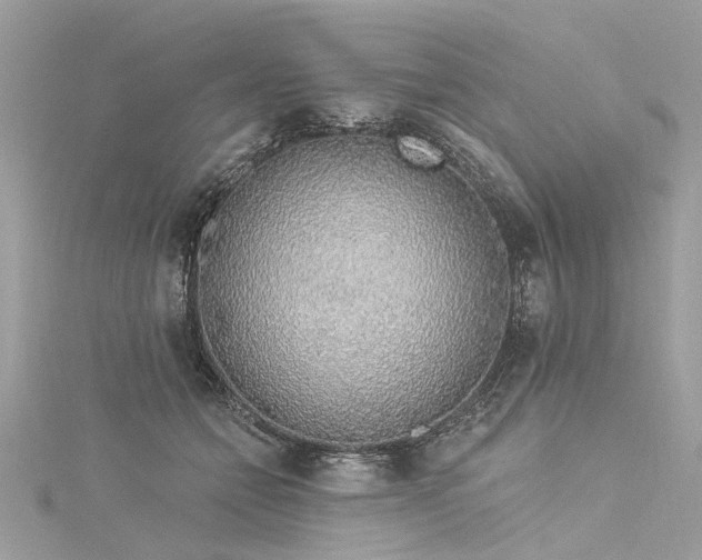 X0000116040558200911201347