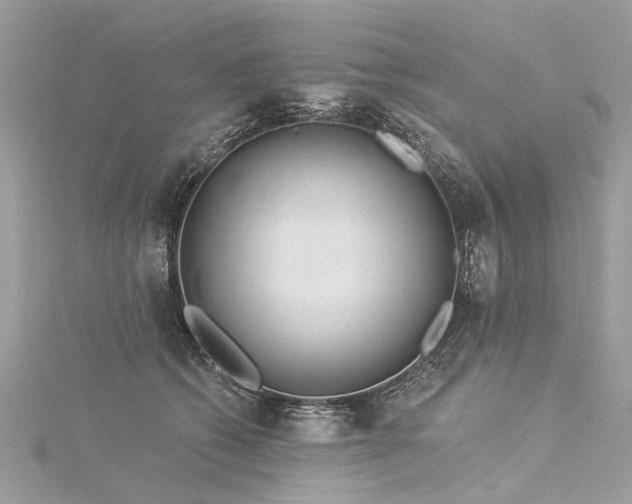 X0000116040562200911201347