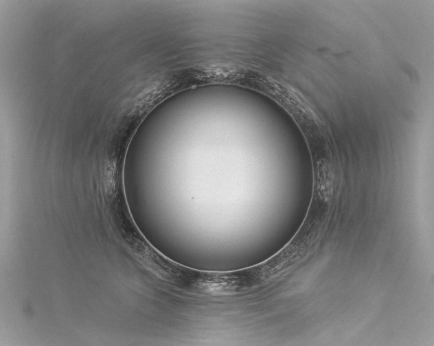 X0000116040563200911201347
