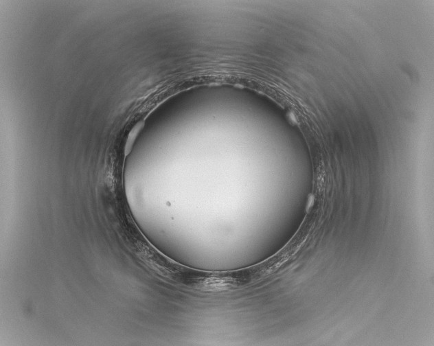 X0000116040566200911201347