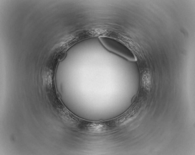 X0000116040570200911201347