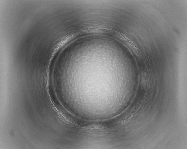 X0000116040578200911201346
