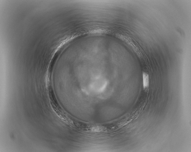 X0000116040579200911201346