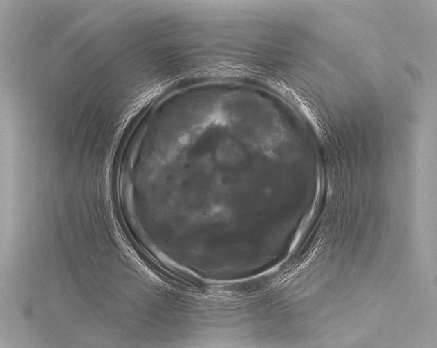 X0000116040581200911201346