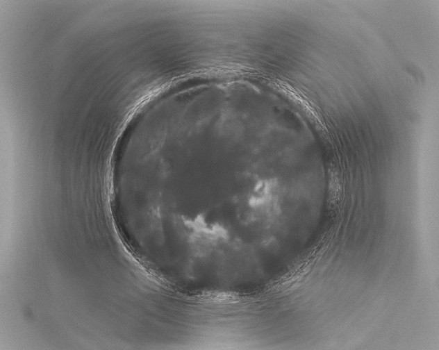 X0000116040582200911201346