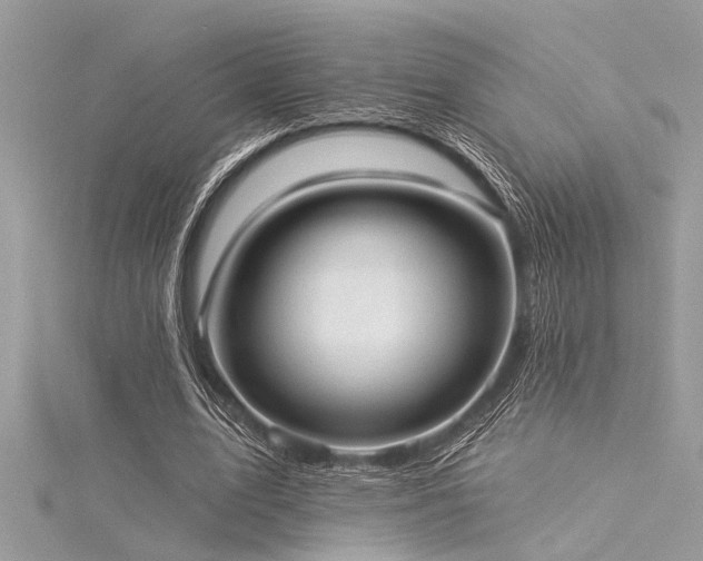 X0000116040583200911201346