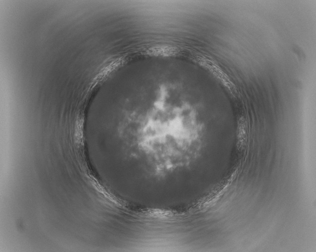 X0000116040585200911201346