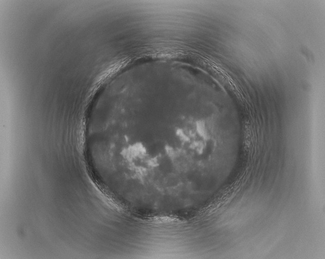 X0000116040586200911201346