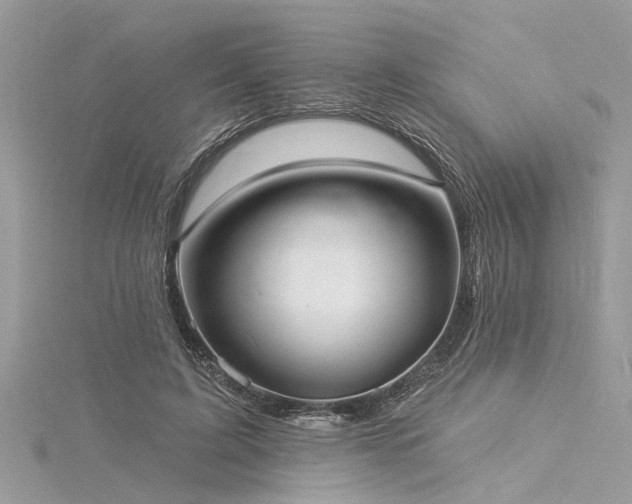 X0000116040595200911201346