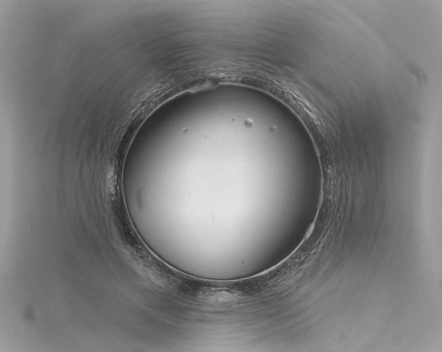 X0000116040597200911201346