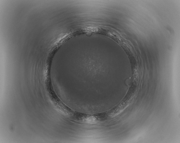 X0000116040600200911201346