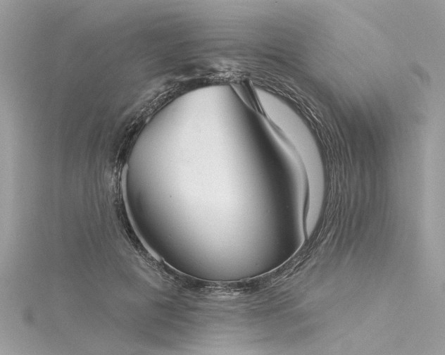 X0000116040601200911201346
