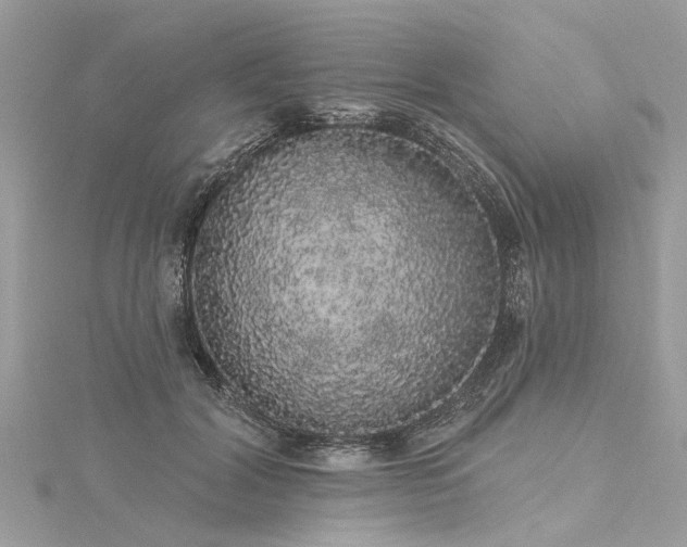 X0000116040604200911201346
