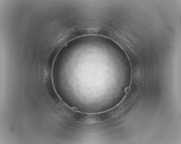 X0000116040608200911201346