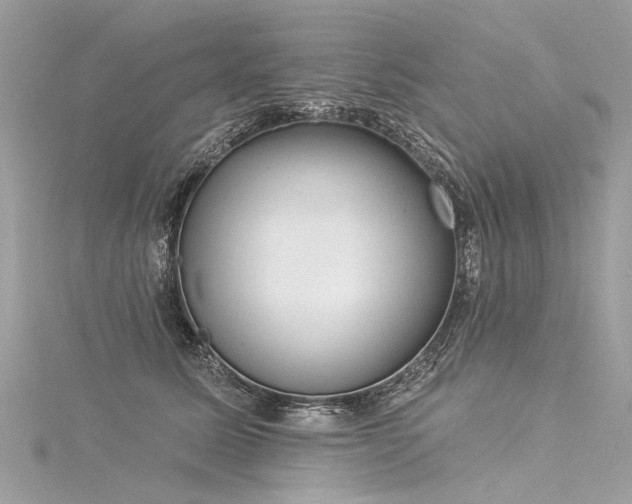 X0000116040611200911201346