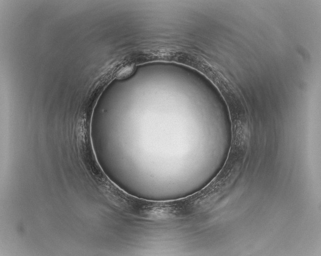X0000116040612200911201346
