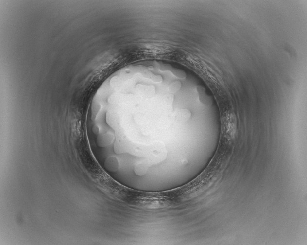 X0000116040615200911201346
