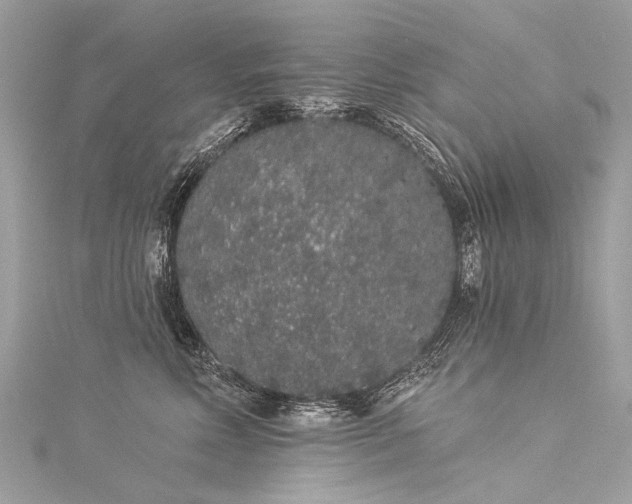 X0000116040618200911201346
