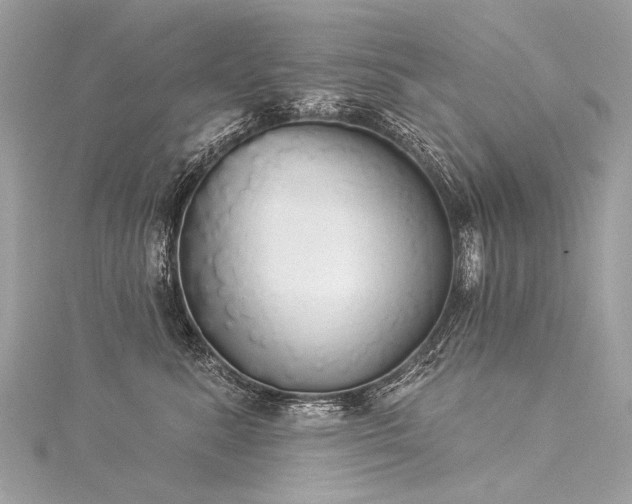 X0000116040619200911201346