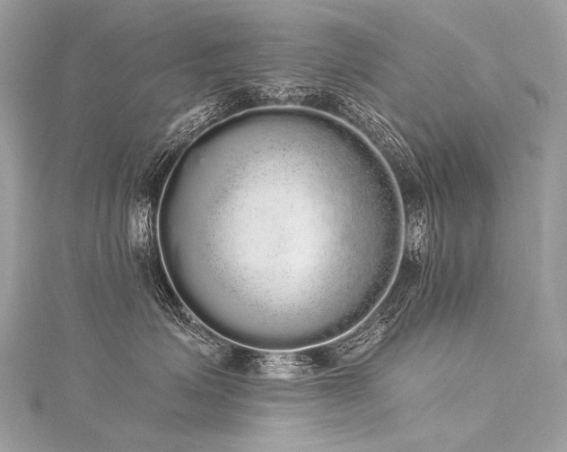 X0000116040623200911201346