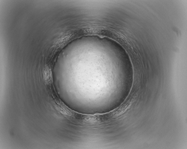 X0000116040624200911201346