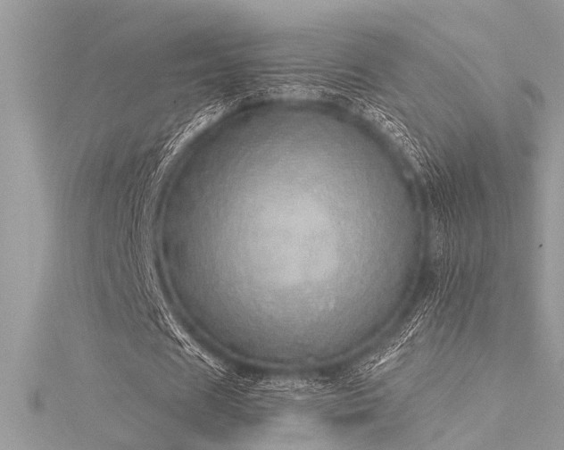 X0000116040625200911201345