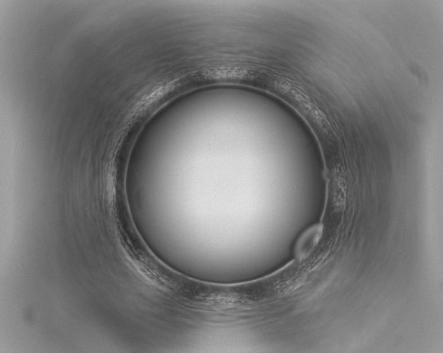 X0000116040631200911201345