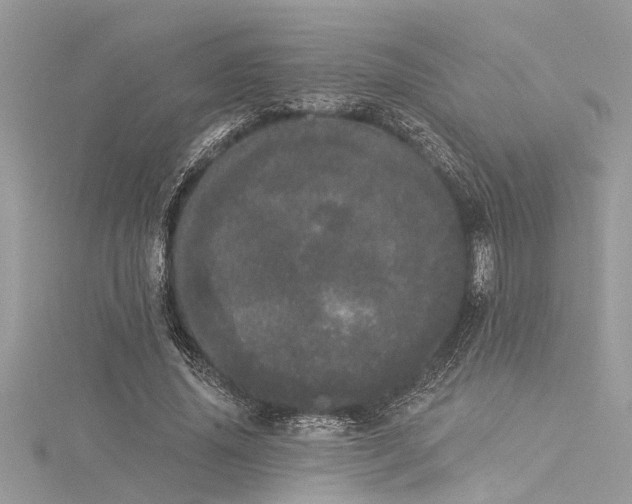 X0000116040636200911201345